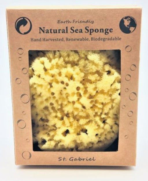Natural sea sponge in a cardboard box 