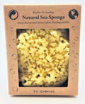 Natural sea sponge in a cardboard box 