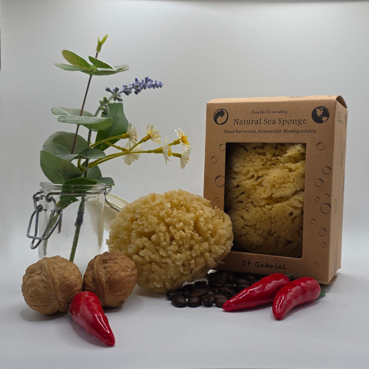 Natural Wool Sea Sponge
